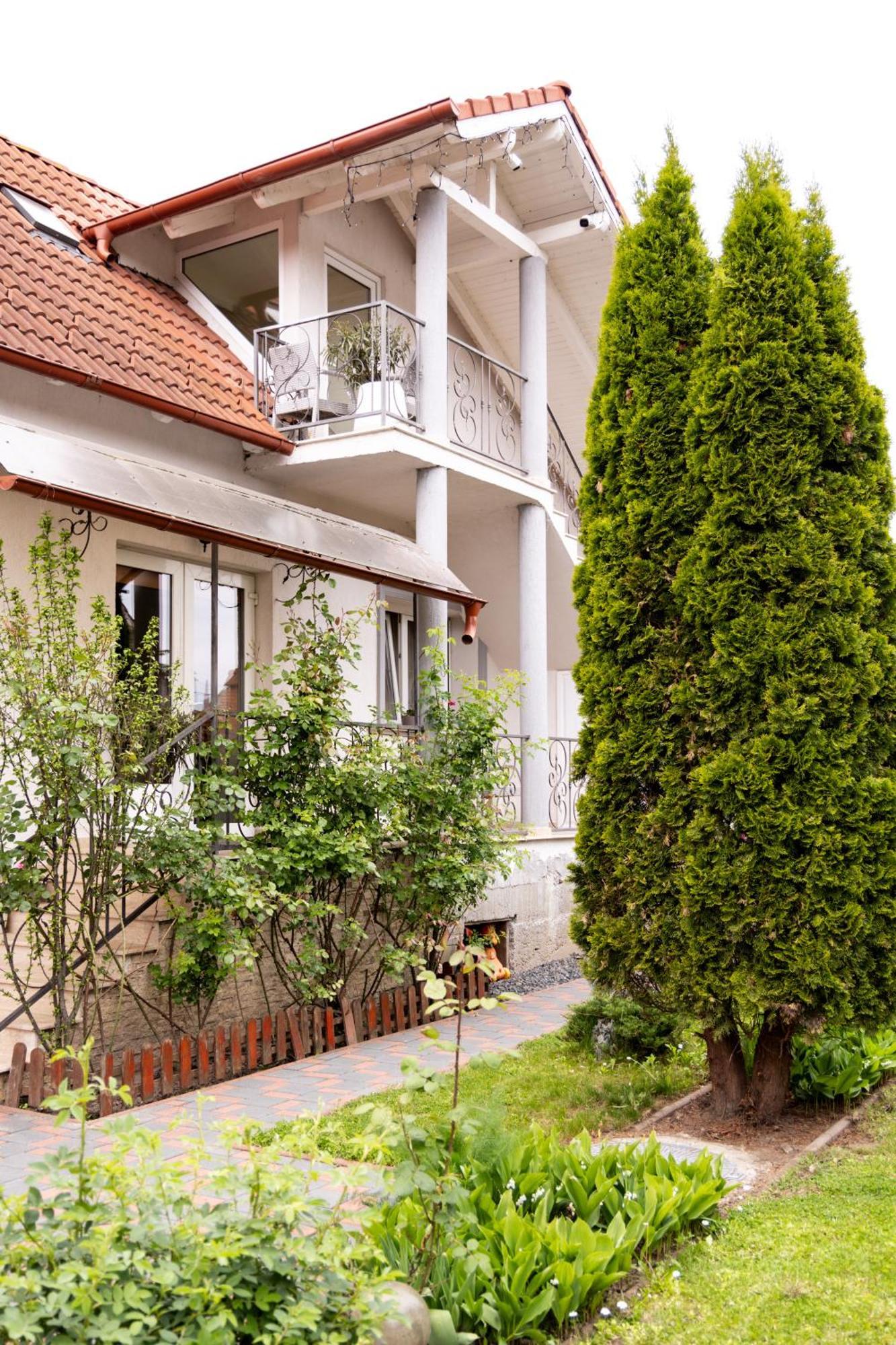 Green Garden Avrig Exterior photo