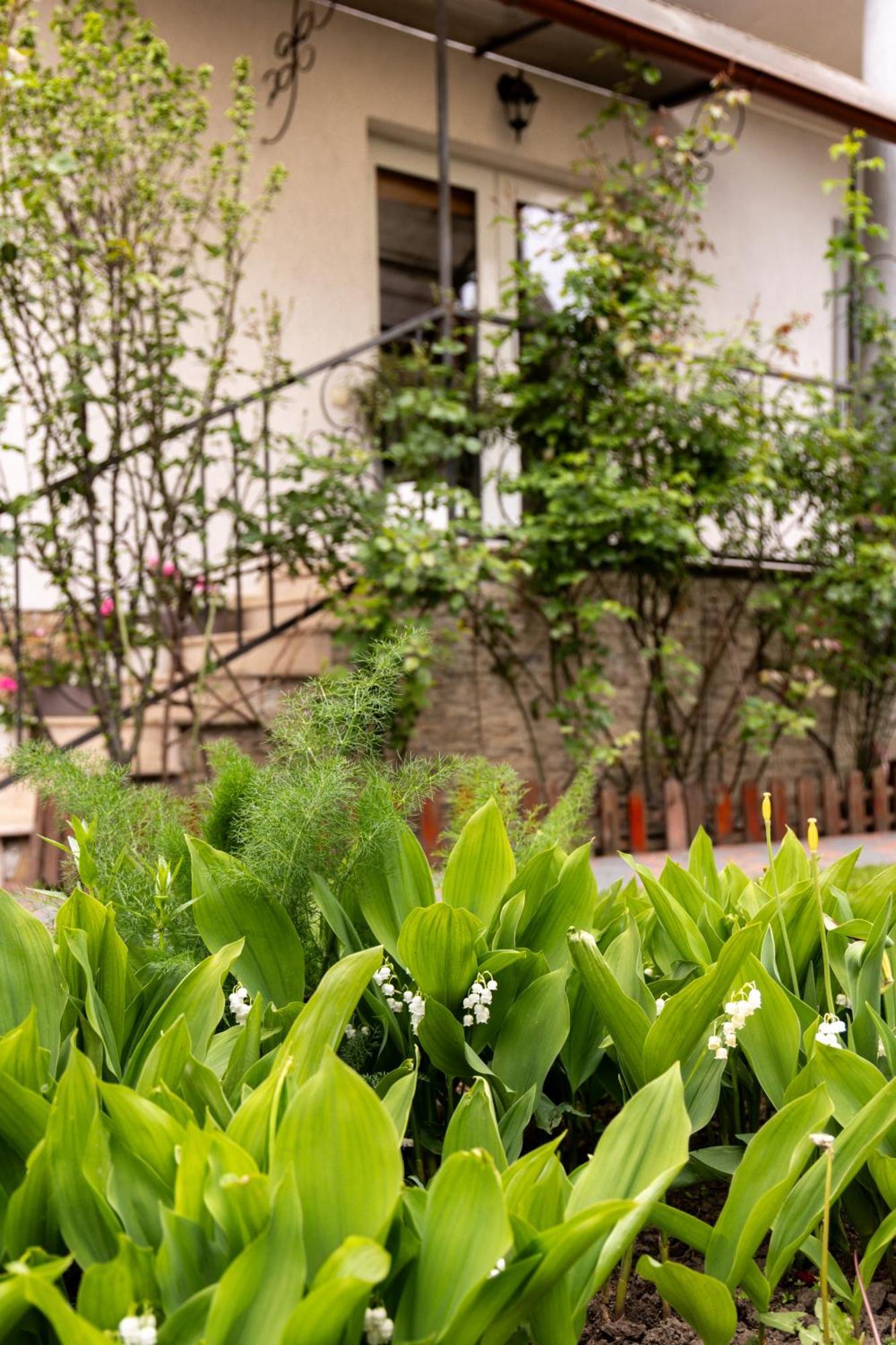 Green Garden Avrig Exterior photo
