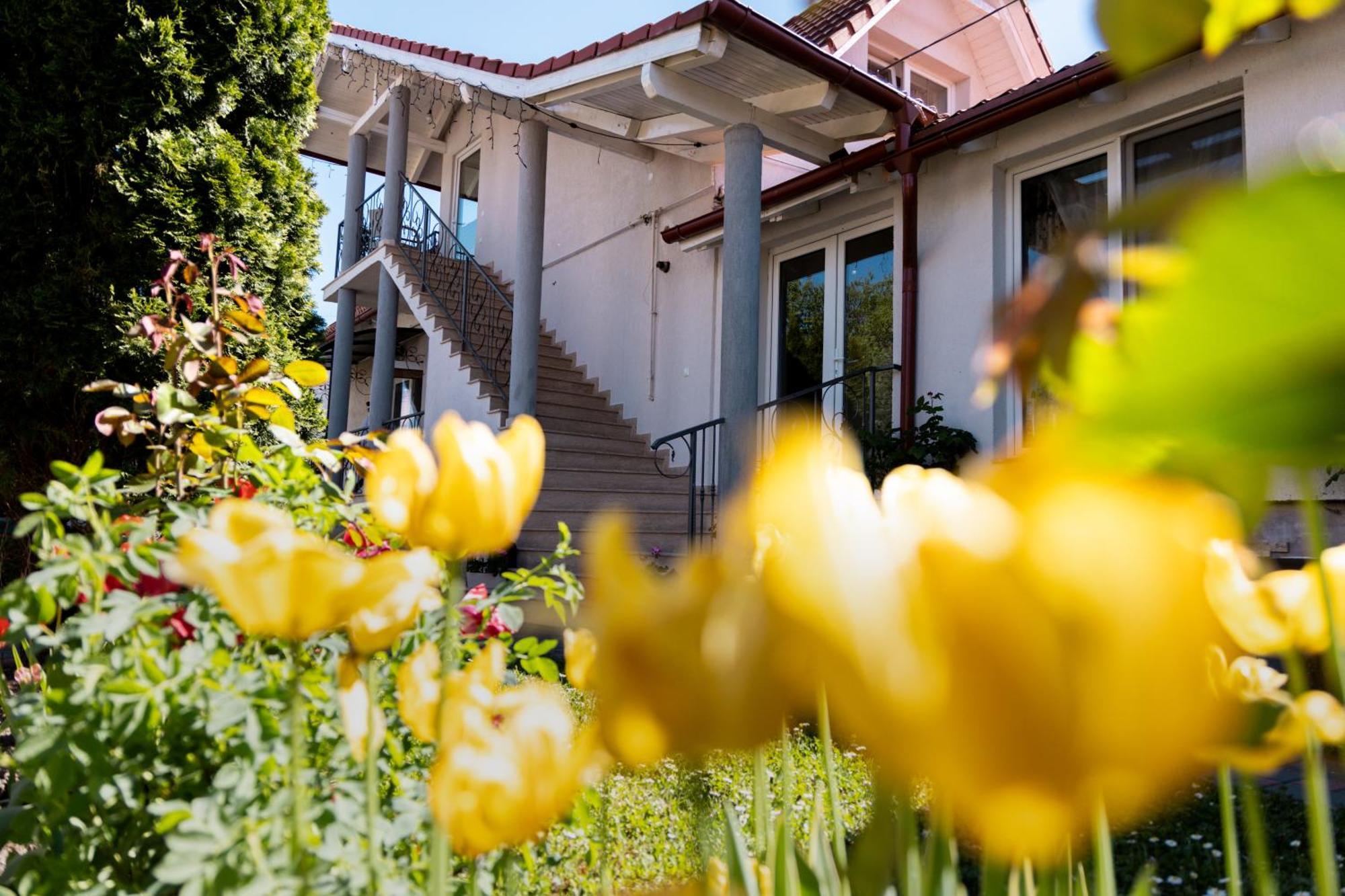 Green Garden Avrig Exterior photo